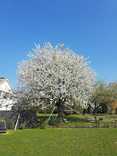 Treussard Nancy à Louvigny