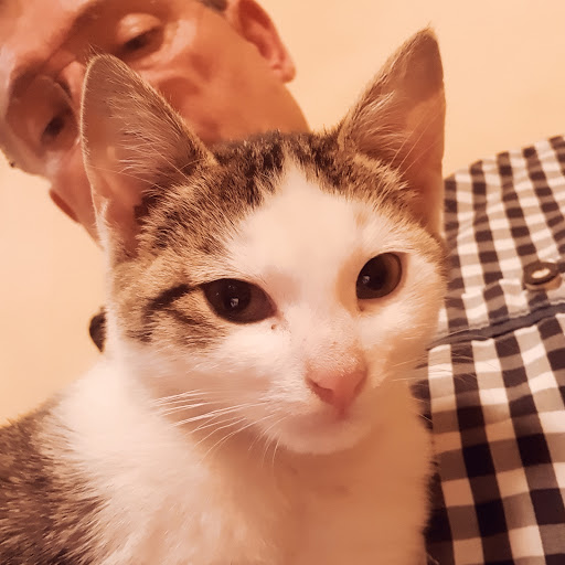 Dr med vet annette volkamer unter Bad Windsheim, 