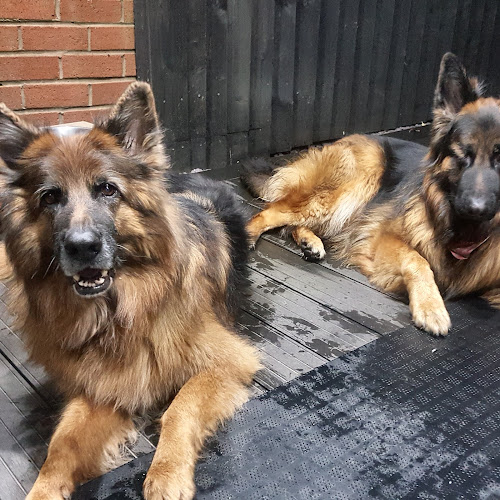 Reviews of Elswick Kennels in Preston - Dog trainer