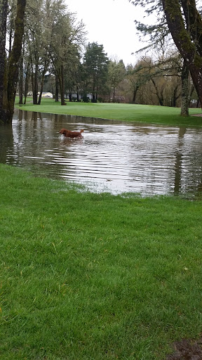 Golf Course «Springfield Golf Club», reviews and photos, 90333 Sunderman Rd, Springfield, OR 97478, USA