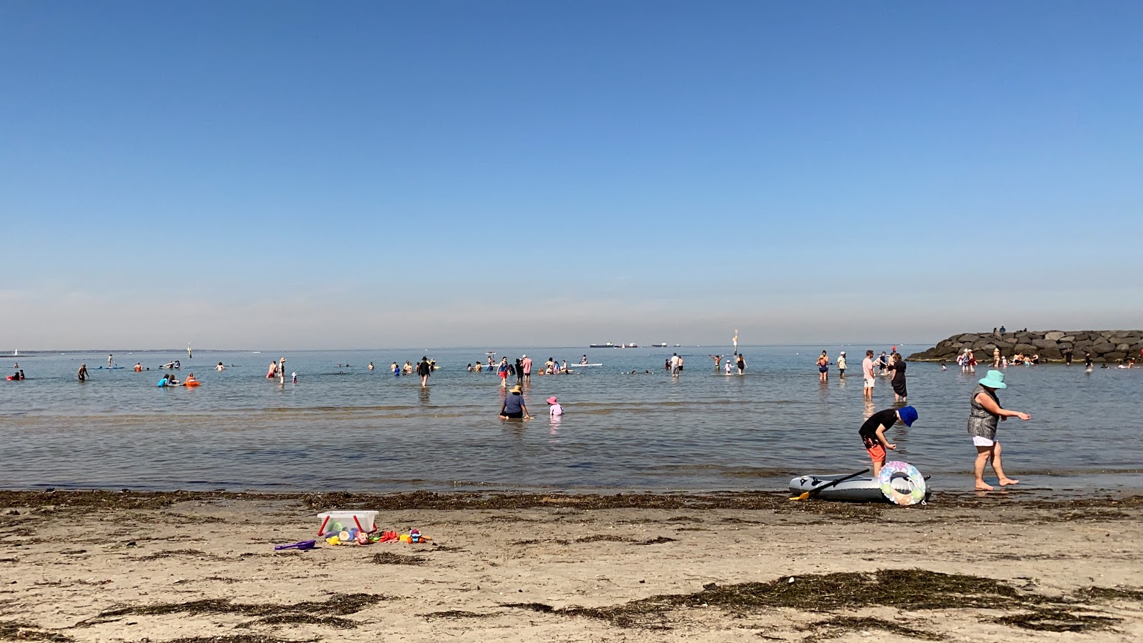 Foto av Williamstown Beach bekvämlighetsområde