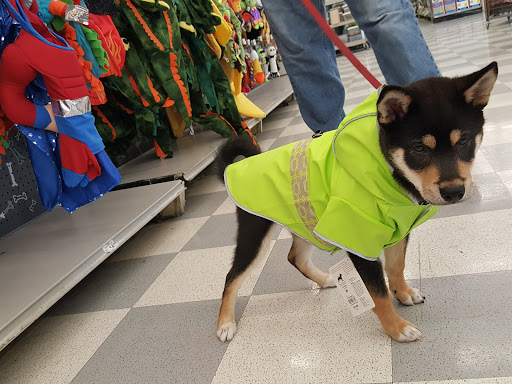 Pet Supply Store «Petco Animal Supplies», reviews and photos, 10464 Baltimore Ave, Beltsville, MD 20705, USA