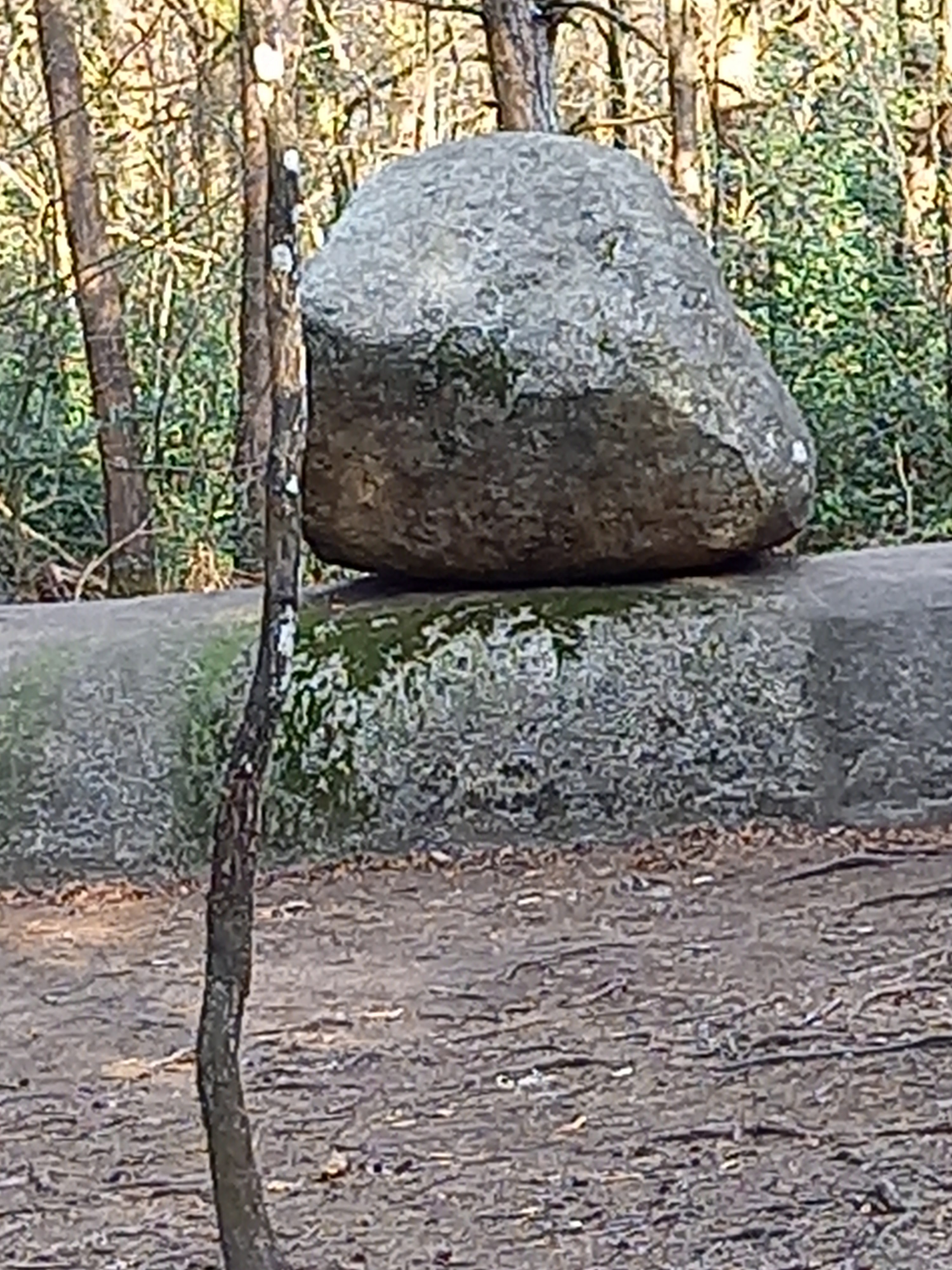 Photo n° 3 de l'avis de Sylvie.o fait le 05/03/2021 à 18:43