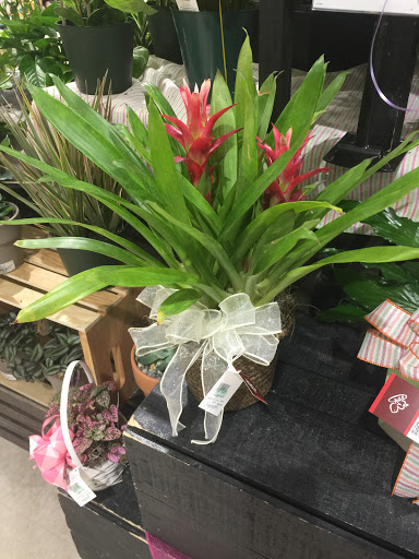 Florist «Flower Hut», reviews and photos, 6300 E Independence Blvd, Charlotte, NC 28212, USA