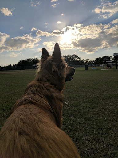 Dog Park «Logan Gate Dog Park», reviews and photos, 7374 Monterey Blvd, Tampa, FL 33610, USA