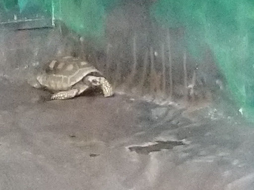 Golf Club «Stone Harbor Golf Club», reviews and photos, 905 U.S. 9, Cape May Court House, NJ 08210, USA