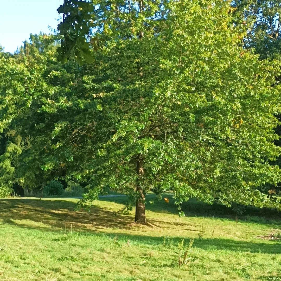 Photo n° 1 de l'avis de Andy.i fait le 03/10/2023 à 19:10