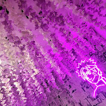 Photo n° 5 de l'avis de jenny.t fait le 17/04/2024 à 11:17 pour Boken - Manga restaurant- Bar à Bubble Tea à Paris