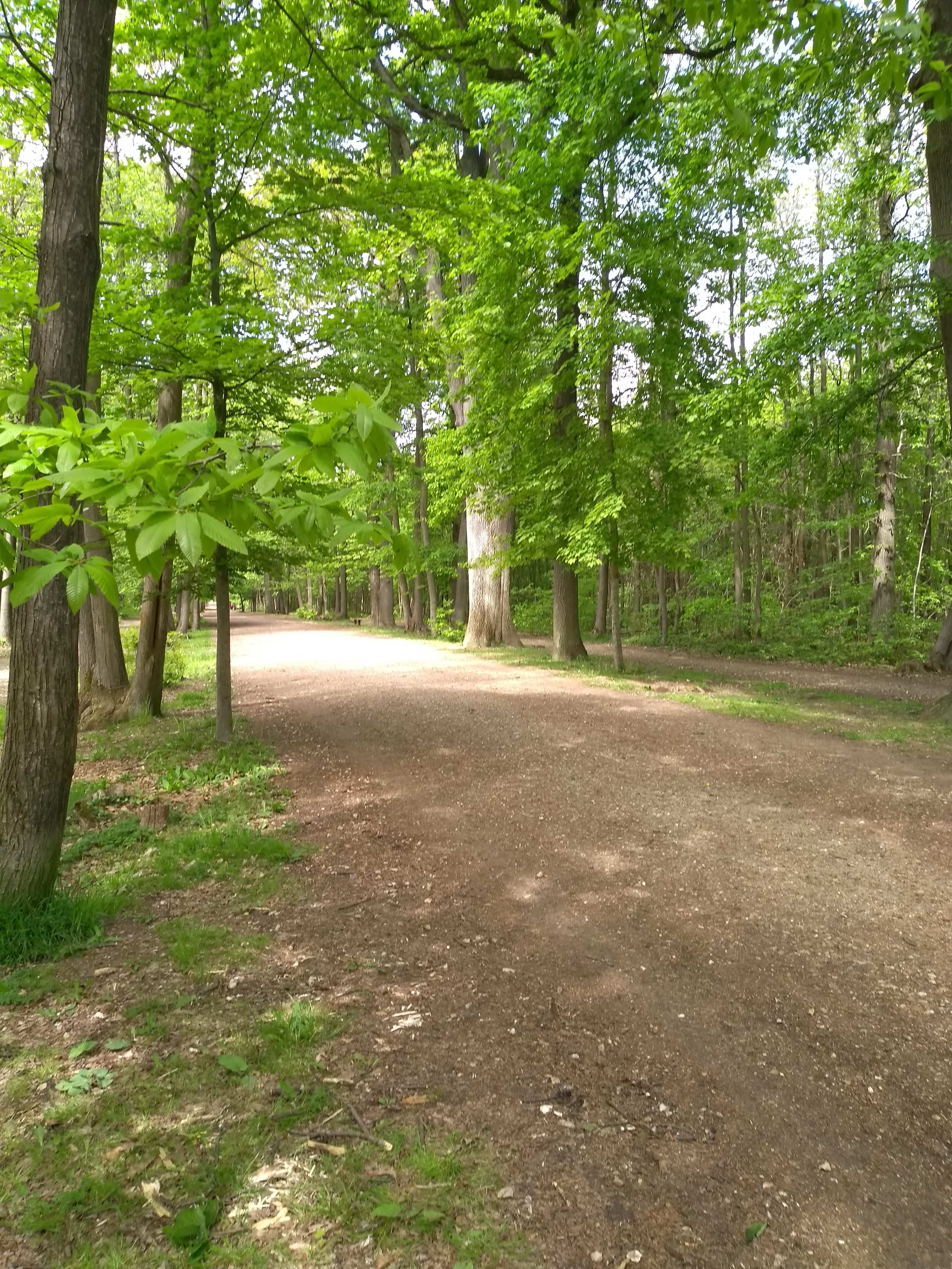 Photo n° 7 de l'avis de Martial.O fait le 05/05/2019 à 19:03