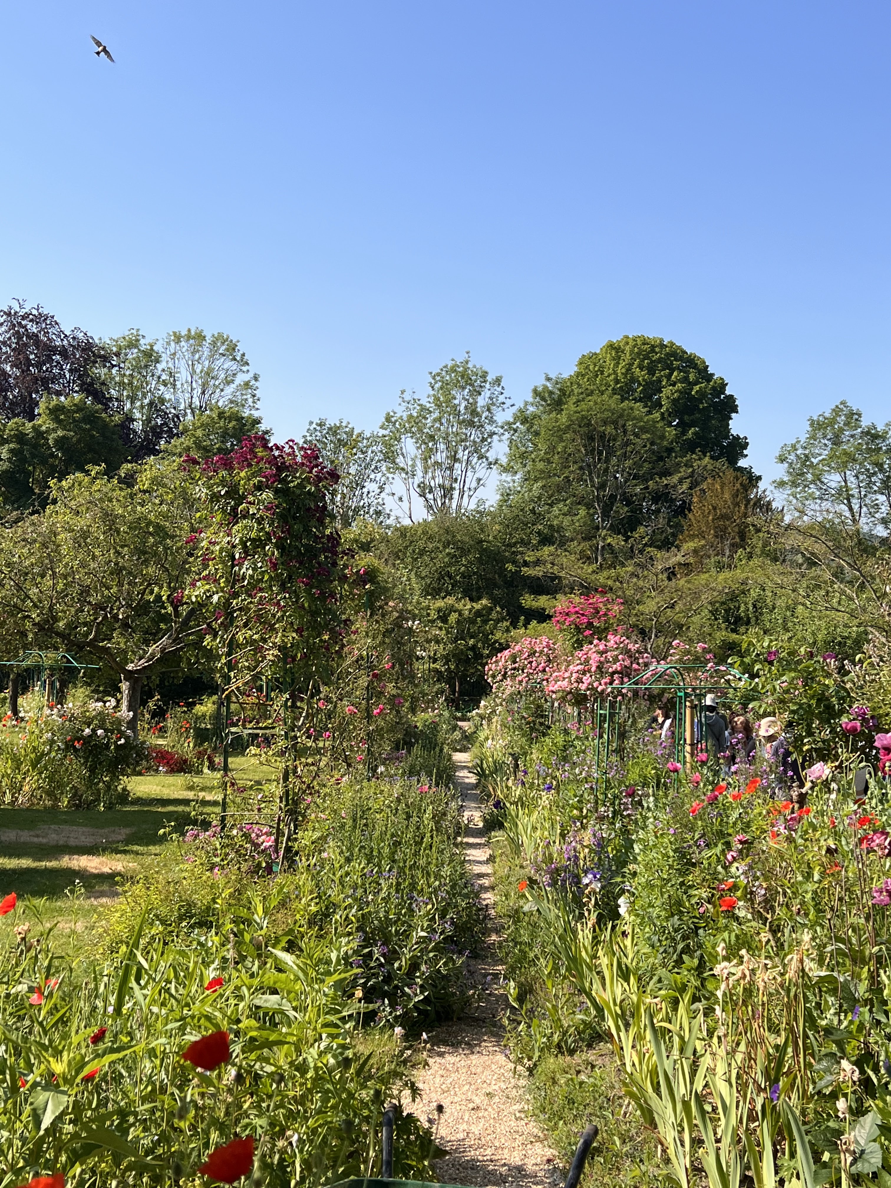 Photo n° 11 de l'avis de Wisha.k fait le 19/08/2023 à 14:30