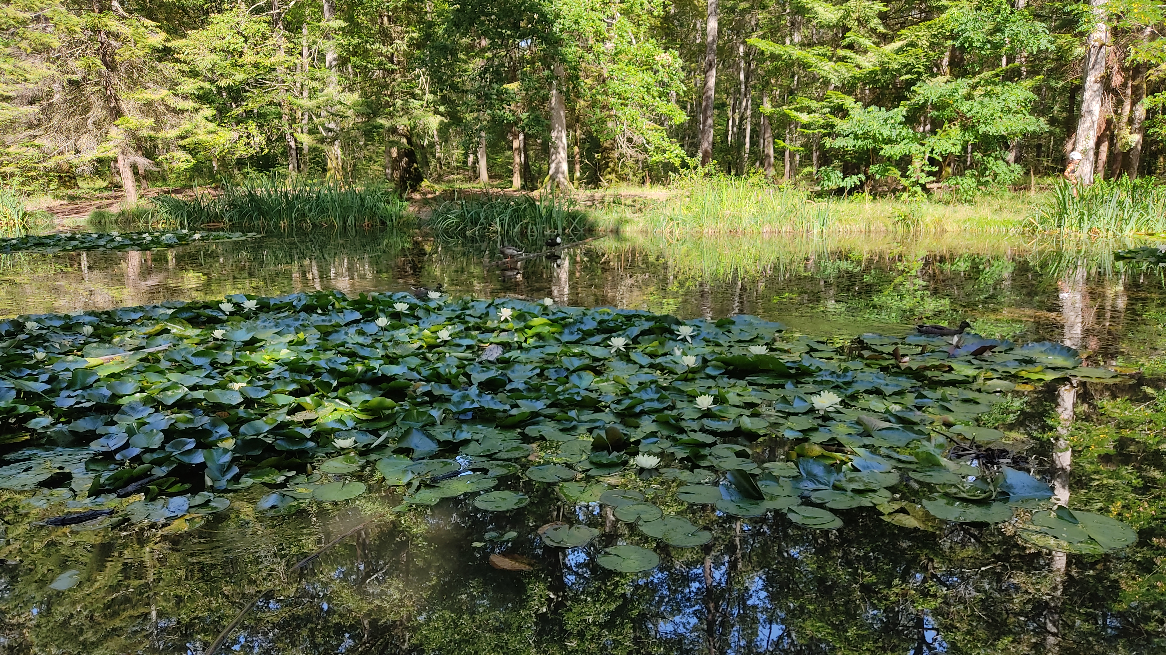 Photo n° 5 de l'avis de Karwan.A fait le 24/08/2023 à 14:19