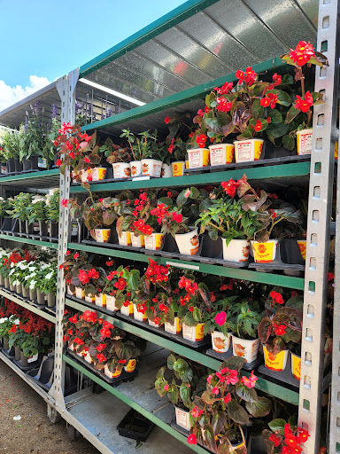 Home Improvement Store «The Home Depot», reviews and photos, 2461 N Richmond Rd, McHenry, IL 60051, USA