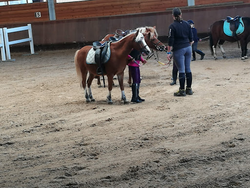 Centre Hippique De Contamine à Contamine-sur-Arve, Haute-Savoie