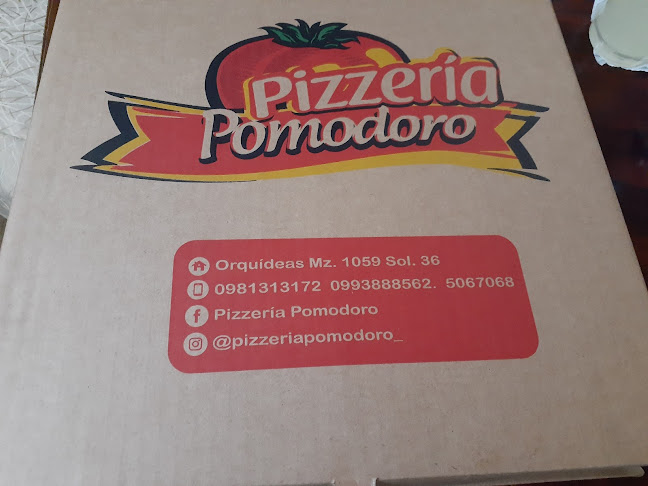 Opiniones de Pizzeria pomodoro portete y la 11 en Guayaquil - Pizzeria
