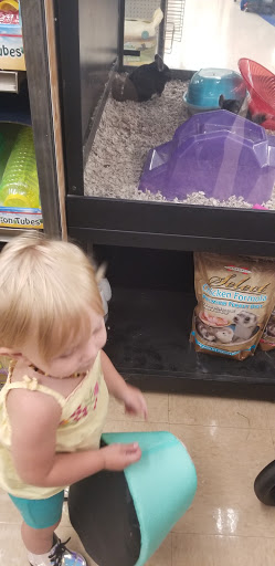 Pet Supply Store «Petco Animal Supplies», reviews and photos, 806 W Paradise Dr, West Bend, WI 53095, USA