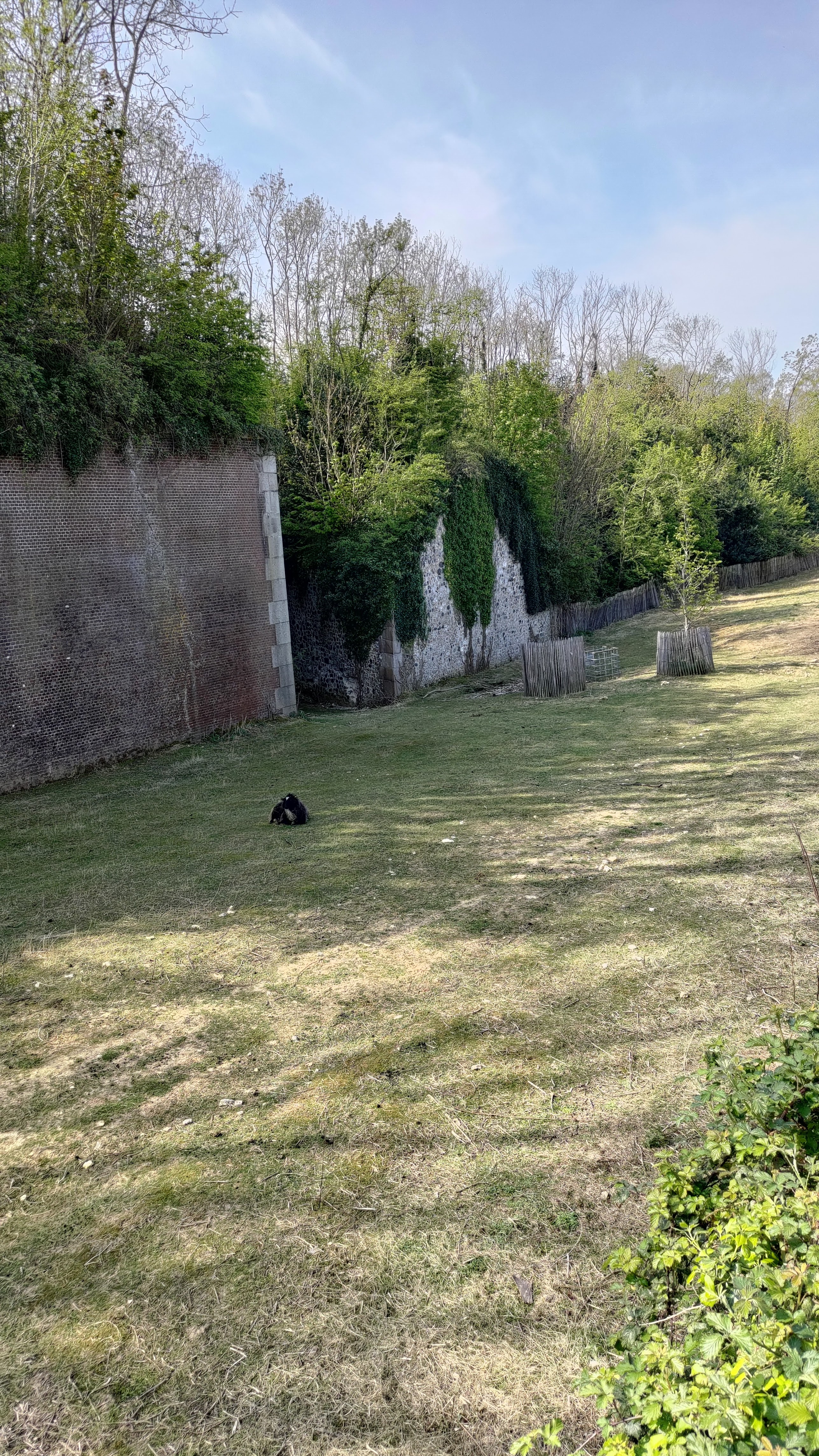Photo n° 18 de l'avis de jean-philippe.a fait le 29/04/2022 à 16:53