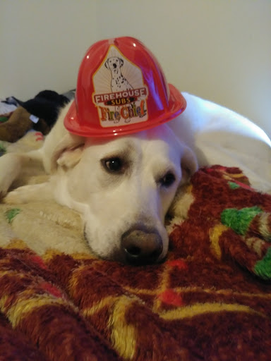 Sandwich Shop «Firehouse Subs», reviews and photos, 3375 Sugarloaf Pkwy, Lawrenceville, GA 30044, USA