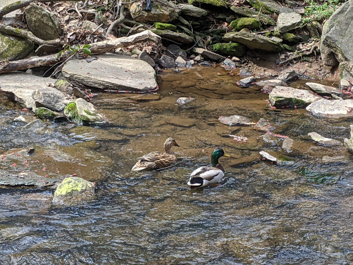 Nature Preserve «Autrey Mill Nature Preserve & Heritage Center», reviews and photos, 9770 Autrey Mill Rd, Johns Creek, GA 30022, USA