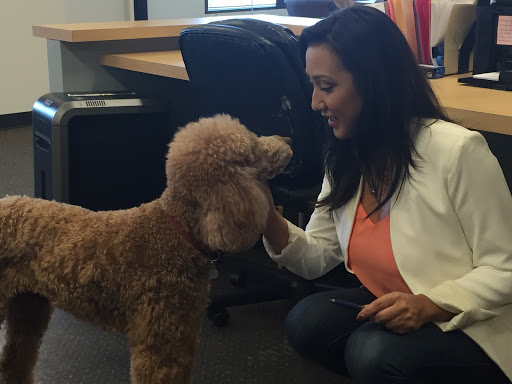 Insurance Agency «Susman Insurance Agency», reviews and photos