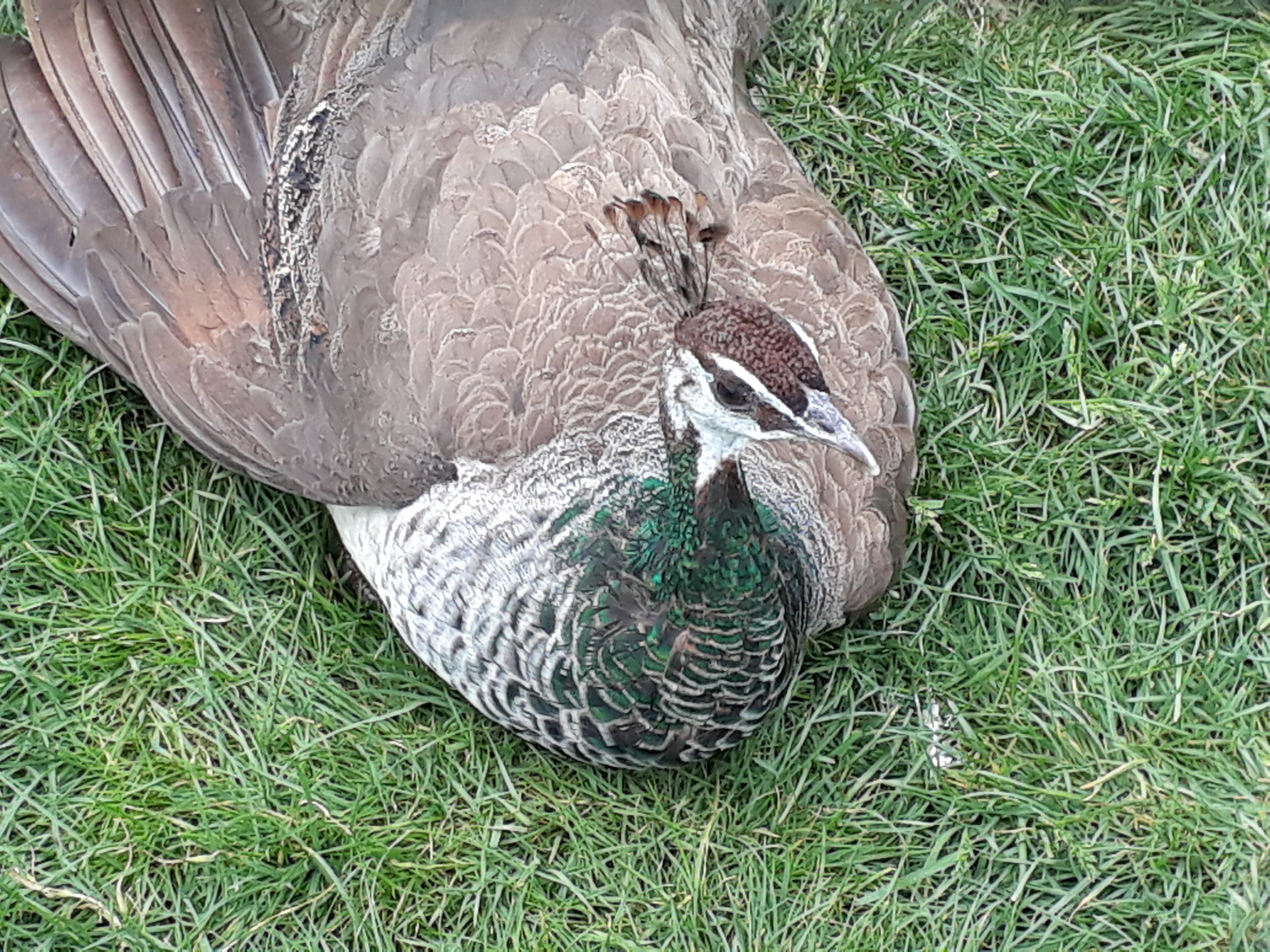 Photo n° 3 de l'avis de Elise.R fait le 24/05/2018 à 15:31