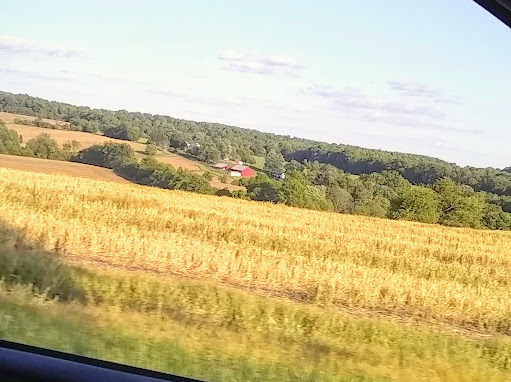 Wedding Venue «Comus Inn», reviews and photos, 23900 Old Hundred Rd, Dickerson, MD 20842, USA