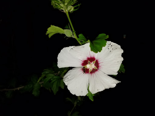 Park «Huston Lake Park», reviews and photos, 850 S Bryant St, Denver, CO 80219, USA