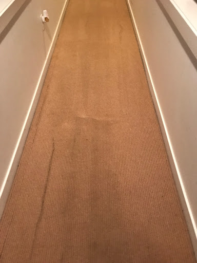 Carpet Cleaning Service «Elite Carpet Cleaning Service», reviews and photos, 29031 Glenarden St, Farmington Hills, MI 48334, USA