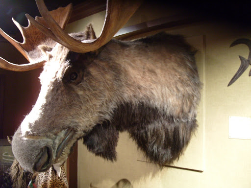 Wax Museum «Madame Tussauds New York», reviews and photos, 234 W 42nd St, New York, NY 10036, USA