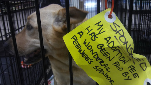 Pet Supply Store «PetSmart», reviews and photos, 5214 Blanche Moore Dr, Corpus Christi, TX 78411, USA