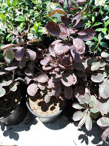 Home Improvement Store «The Home Depot», reviews and photos, 11884 E Foothill Blvd, Rancho Cucamonga, CA 91730, USA