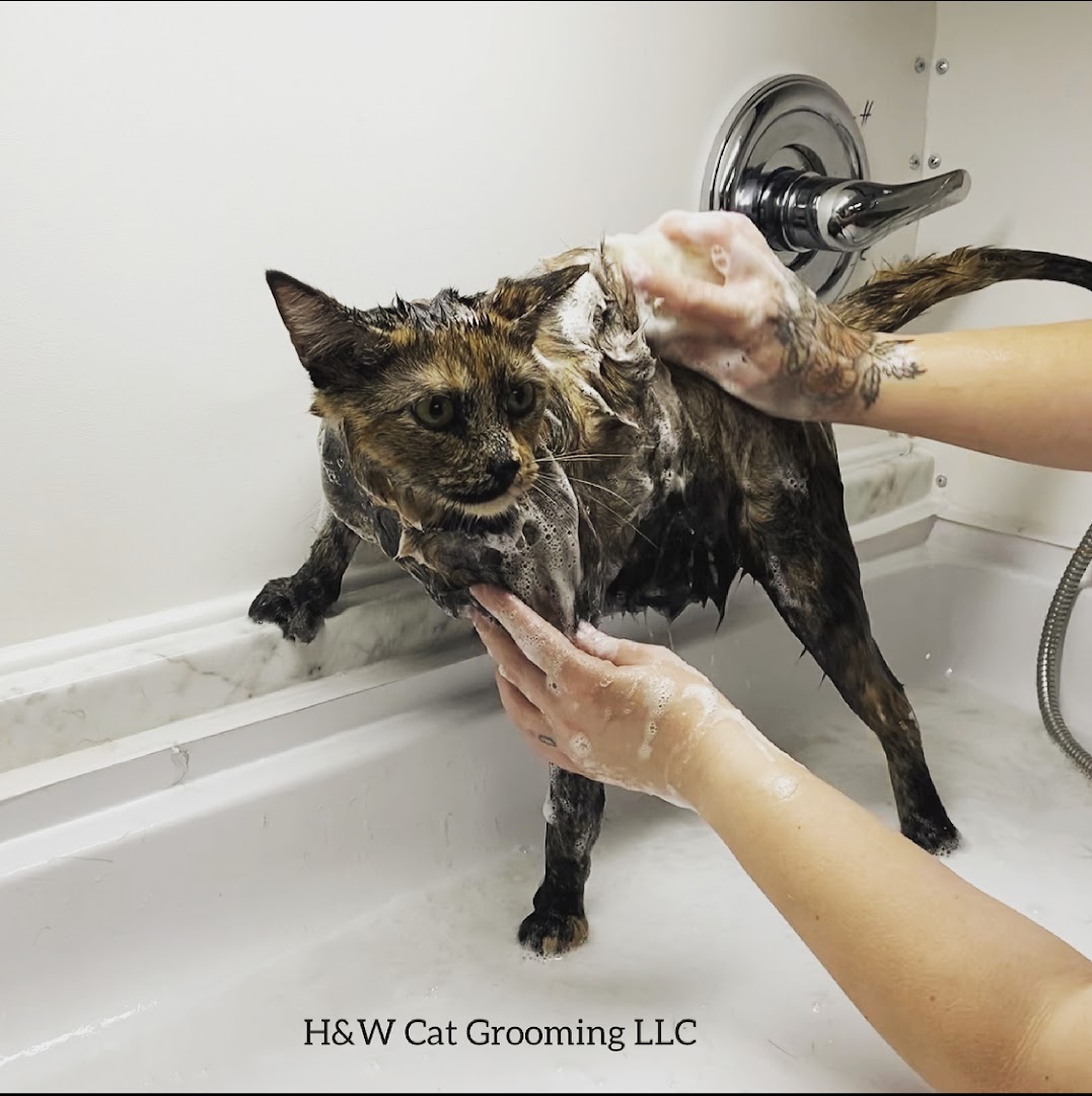 H&W Cat Grooming LLC