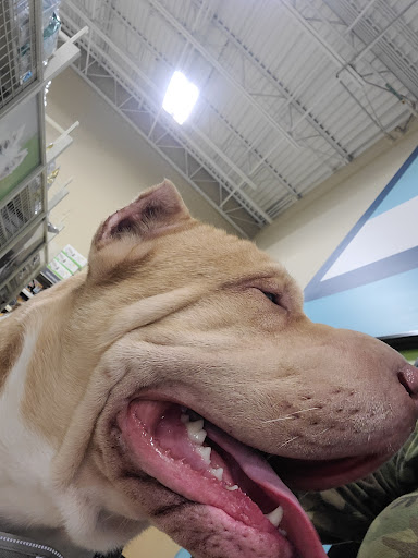 Pet Supply Store «PetSmart», reviews and photos, 1130 SE Everett Mall Way, Everett, WA 98208, USA