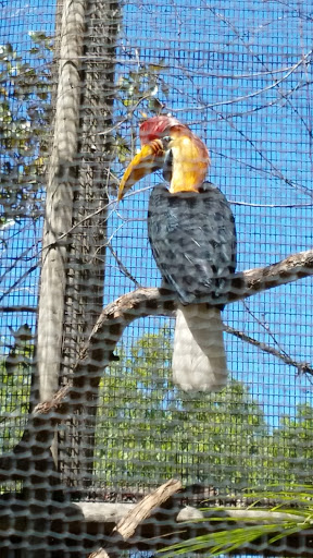 Zoo «St. Augustine Alligator Farm Zoological Park», reviews and photos, 999 Anastasia Blvd, St Augustine, FL 32080, USA