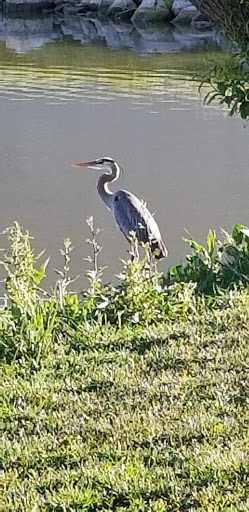 Country Club «Country Club of Colorado», reviews and photos, 125 Clubhouse Dr, Colorado Springs, CO 80906, USA