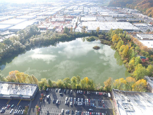 Park «Tukwila Pond Park», reviews and photos, 299 Strander Blvd, Tukwila, WA 98188, USA