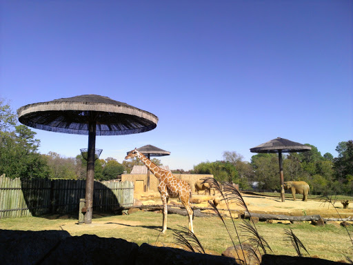 Zoo «Caldwell Zoo», reviews and photos, 2203 W Martin Luther King Jr Blvd, Tyler, TX 75702, USA