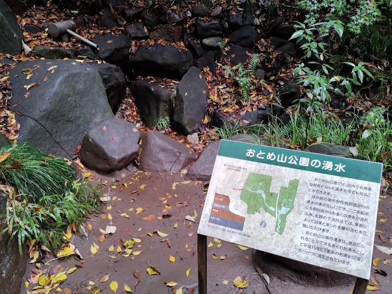 おとめ山公園の湧水（東京の名湧水57選）