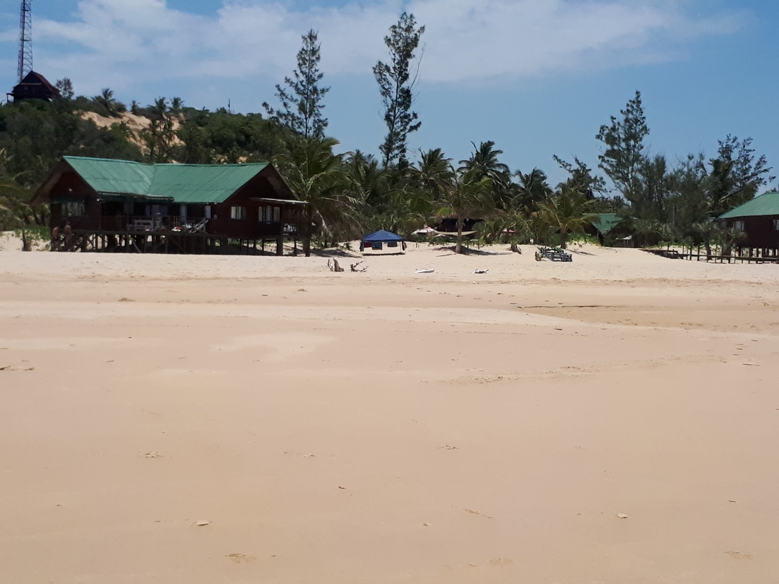 Praia da Barra photo #8