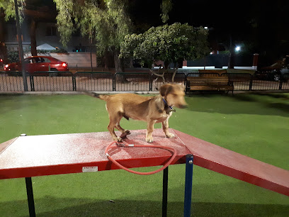 Parque para perros