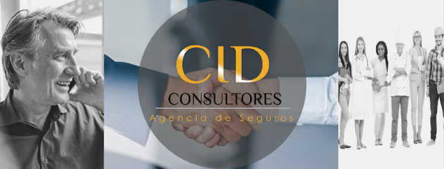 CID Consultores Ltda.