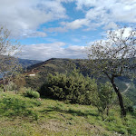 Photo n°9 de l'avis de Joana.a fait le 07/11/2023 à 16:13 sur le  Restaurante Coa Museu à Vila Nova de Foz Côa