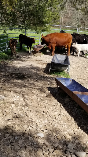 Event Venue «Old Spencer Mill», reviews and photos, 399 Old Spencer Rd, Burns, TN 37029, USA