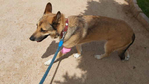 Policlínica Veterinaria Castelló en Castellón de la Plana
