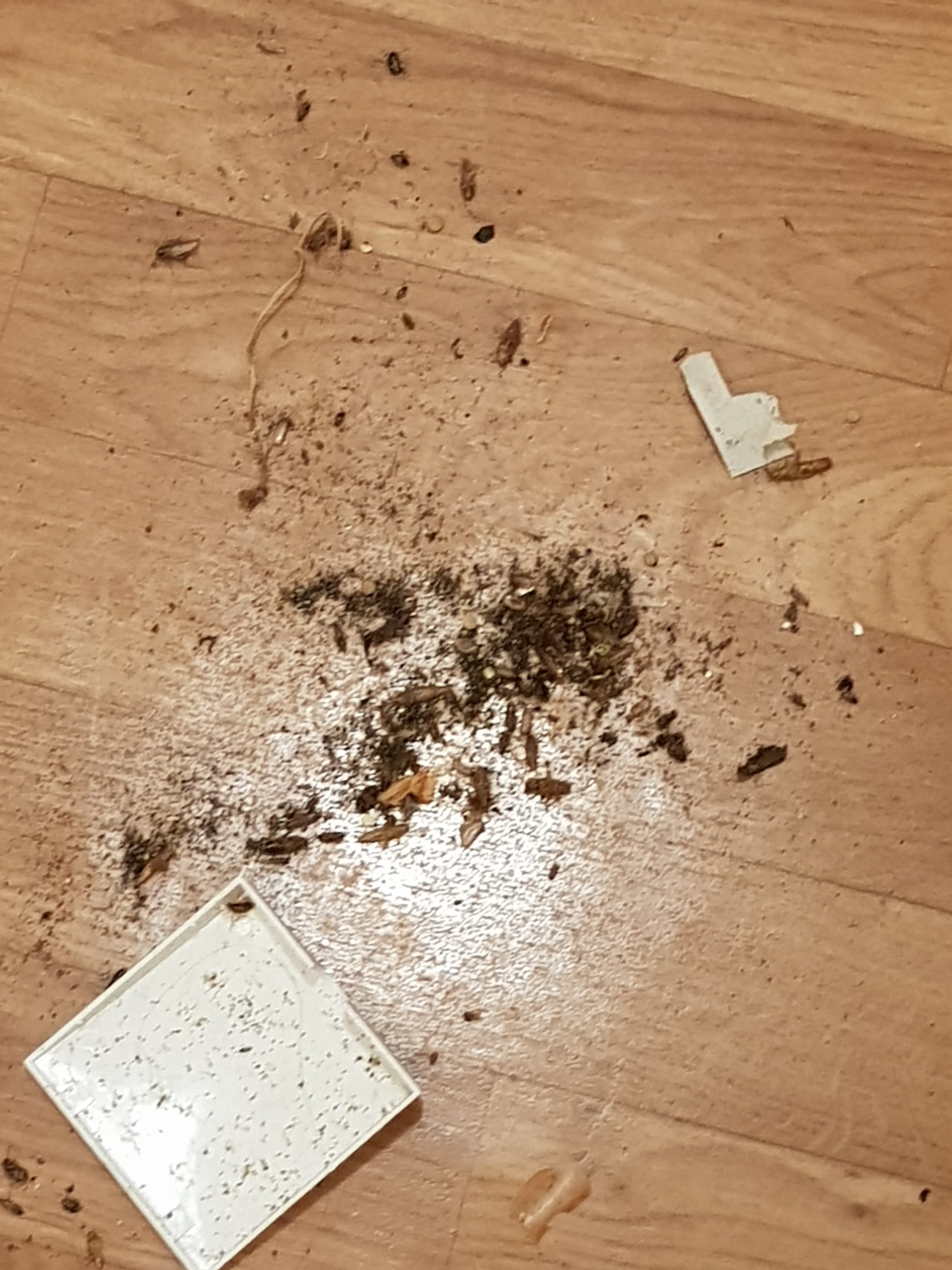 Photo n° 1 de l'avis de Fella.i fait le 12/02/2024 à 18:47