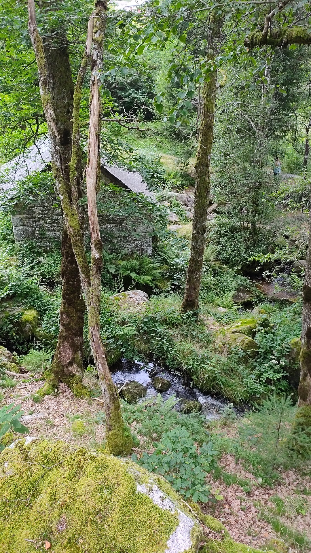 Photo n° 1 de l'avis de Alexandre.e fait le 13/08/2023 à 10:21