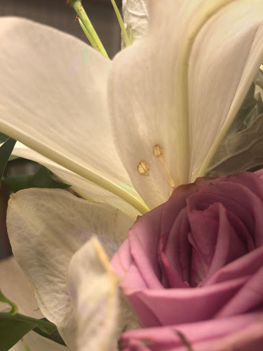Florist «Mystic Florist», reviews and photos, 414 Mystic Ave, Somerville, MA 02145, USA