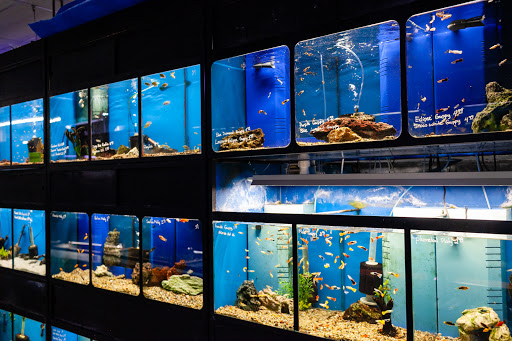 Pet Store «Sierra Fish and Pets», reviews and photos, 601 S Grady Way Suite M, Renton, WA 98057, USA