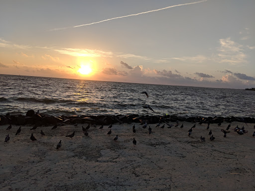 Amphitheater «Cole Park Amphitheater», reviews and photos, 1526 Ocean Dr, Corpus Christi, TX 78404, USA