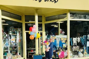 Eve's Toy Shop image
