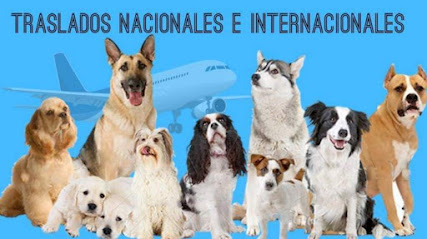 Traslado de Mascotas 'Pet Travel Mexico'